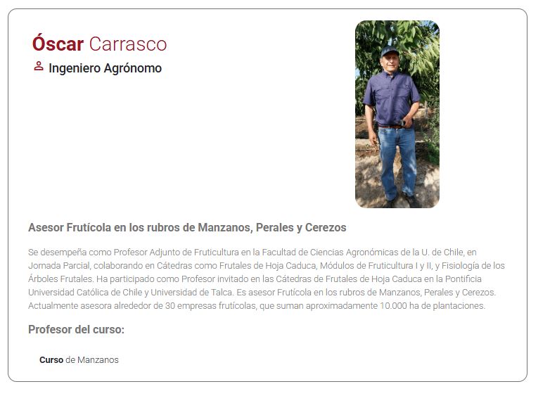 CV MANZANO